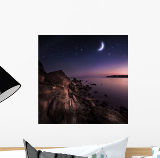 Rising Moon over Ocean Wall Decal Design 2