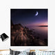 Rising Moon over Ocean Wall Decal Design 2