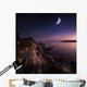 Rising Moon over Ocean Wall Decal Design 2
