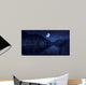 Moon Rising over Tranquil Wall Decal Design 4