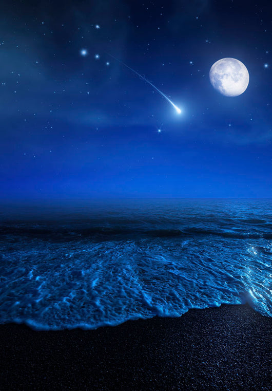 Tranquil Ocean Night against Wall Decal Design 2