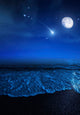 Tranquil Ocean Night against Wall Decal Design 2