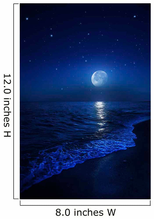 Tranquil Ocean Night Wall Decal