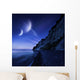 Two Planets Hover over Wall Decal