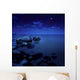 Nighttime Photo Sea and Wall Decal