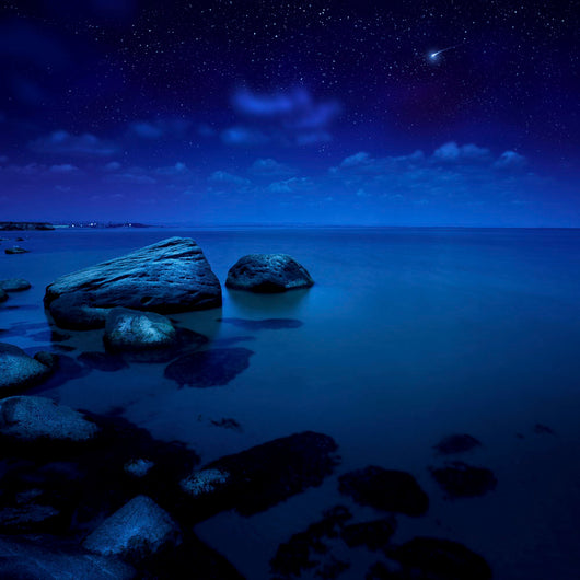 Nighttime Photo Sea and Wall Decal