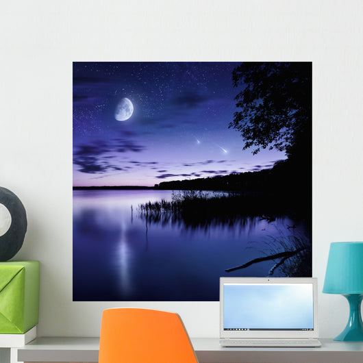 Tranquil Lake against Starry Wall Decal Design 1