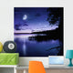 Tranquil Lake against Starry Wall Decal Design 1