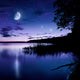 Tranquil Lake against Starry Wall Decal Design 1