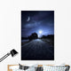Road Park Night against Wall Decal