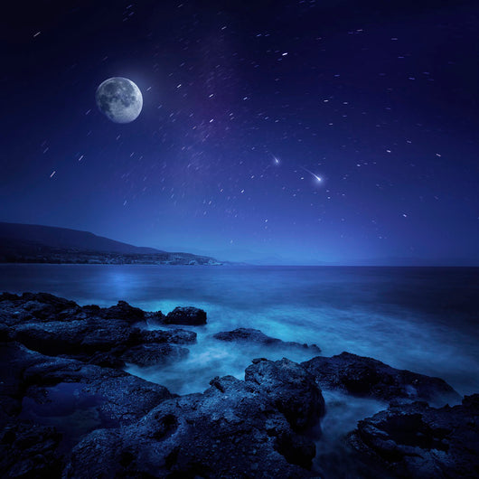 Rocks Seaside against Rising Wall Decal