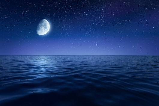 Tranquil Seas against Rising Wall Decal