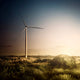 Wind Turbine Field Evening Wall Decal