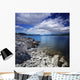 Tranquil Lake and Rocky Wall Decal Design 2