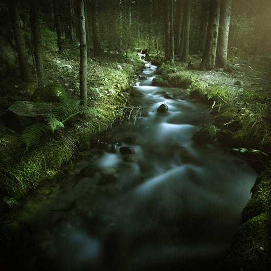Small Stream Forest Pirin Wall Decal