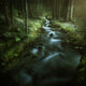 Small Stream Forest Pirin Wall Decal