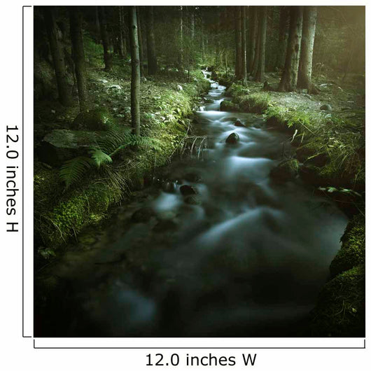 Small Stream Forest Pirin Wall Decal