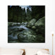 Small River Flowing over Wall Decal Design 2