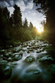 Small River Flowing over Wall Decal Design 1