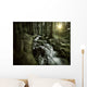 Small Stream Forest Sunset Wall Decal Design 3
