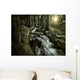 Small Stream Forest Sunset Wall Decal Design 3