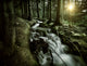 Small Stream Forest Sunset Wall Decal Design 3