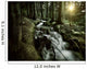 Small Stream Forest Sunset Wall Decal Design 3