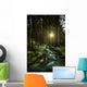 Small Stream Forest Sunset Wall Decal Design 2