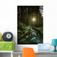 Small Stream Forest Sunset Wall Decal Design 2