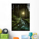 Small Stream Forest Sunset Wall Decal Design 2