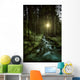 Small Stream Forest Sunset Wall Decal Design 2