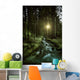 Small Stream Forest Sunset Wall Decal Design 2