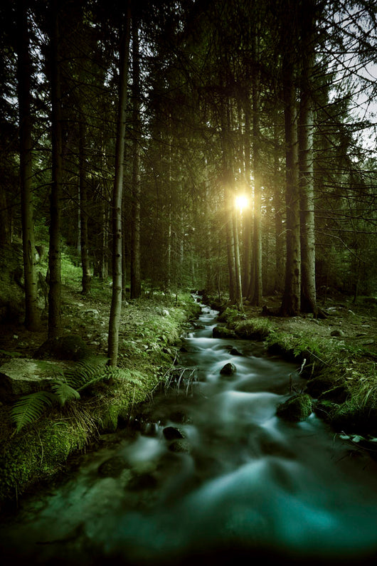 Small Stream Forest Sunset Wall Decal Design 2