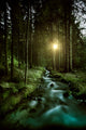 Small Stream Forest Sunset Wall Decal Design 2