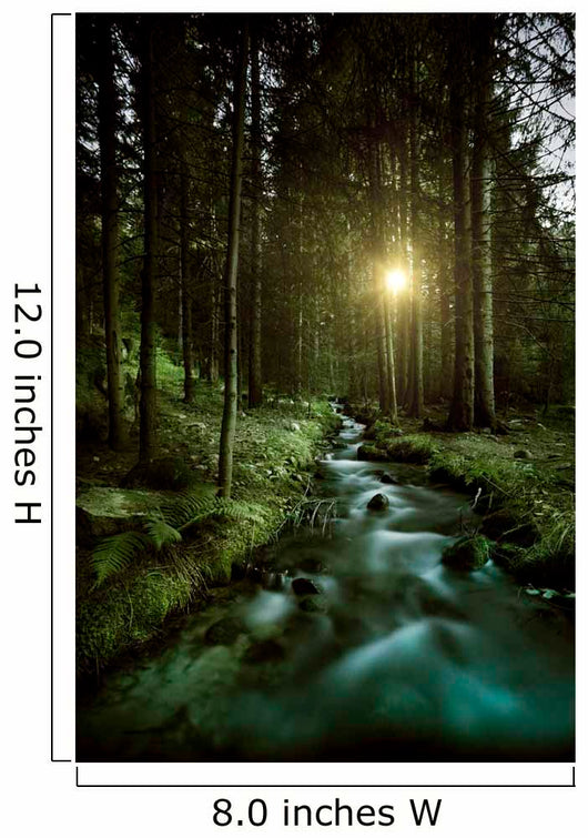 Small Stream Forest Sunset Wall Decal Design 2