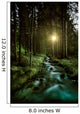 Small Stream Forest Sunset Wall Decal Design 2