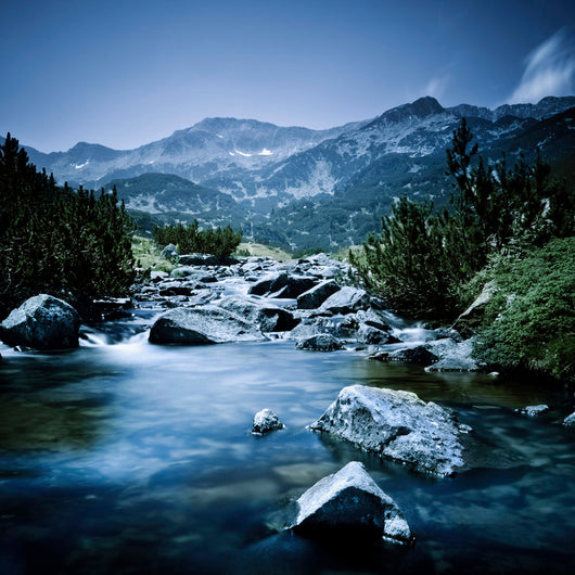 Small River Flowing through Wall Decal Design 3
