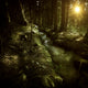 Small Stream Forest Sunset Wall Decal Design 1