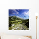 Green Valley through Pirin Wall Decal