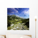 Green Valley through Pirin Wall Decal