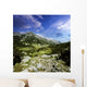 Green Valley through Pirin Wall Decal