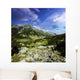 Green Valley through Pirin Wall Decal