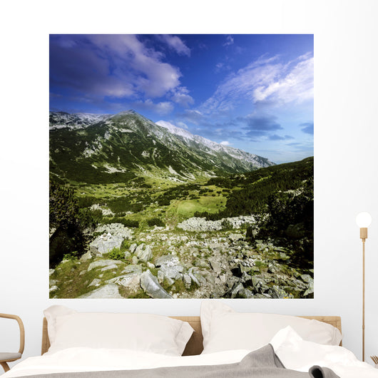 Green Valley through Pirin Wall Decal