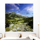 Green Valley through Pirin Wall Decal