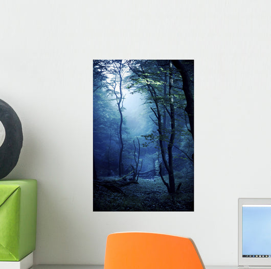 Misty Dark Forest Liselund Wall Decal