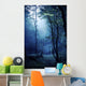 Misty Dark Forest Liselund Wall Decal