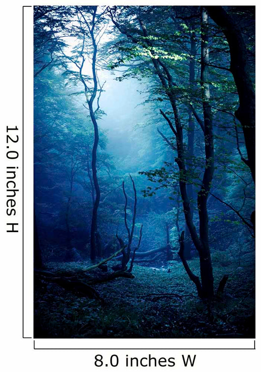 Misty Dark Forest Liselund Wall Decal