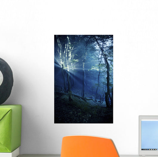 Misty Rays Dark Forest Wall Decal Design 3