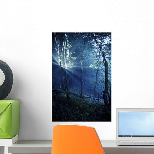Misty Rays Dark Forest Wall Decal Design 3