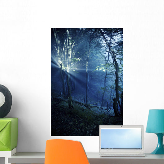 Misty Rays Dark Forest Wall Decal Design 3